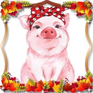 Meet your Posher, Patty